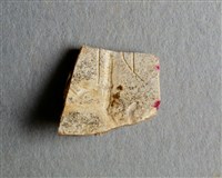 藏品(甲骨殘片)的圖片