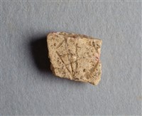 藏品(甲骨殘片)的圖片