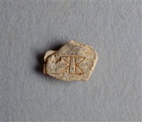 藏品(甲骨殘片)的圖片