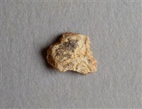 藏品(甲骨殘片)的圖片