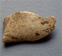 藏品(甲骨殘片)的圖片