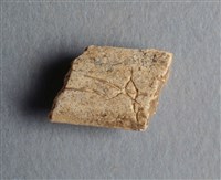 藏品(甲骨殘片)的圖片