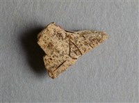 藏品(甲骨殘片)的圖片