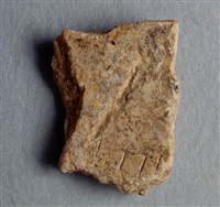 藏品(甲骨殘片)的圖片