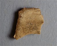 藏品(甲骨殘片)的圖片