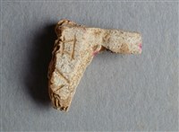 藏品(甲骨殘片)的圖片