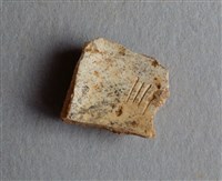 藏品(甲骨殘片)的圖片