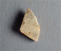 藏品(甲骨殘片)的圖片