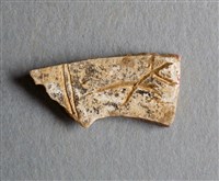 藏品(甲骨殘片)的圖片