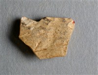 藏品(甲骨殘片)的圖片