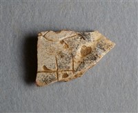 藏品(甲骨殘片)的圖片