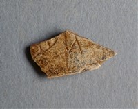 藏品(甲骨殘片)的圖片