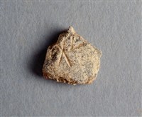 藏品(甲骨殘片)的圖片