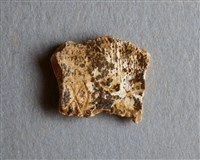 藏品(甲骨殘片)的圖片