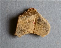 藏品(甲骨殘片)的圖片