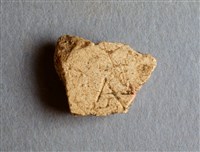 藏品(甲骨殘片)的圖片