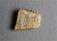 藏品(甲骨殘片)的圖片