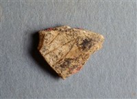 藏品(甲骨殘片)的圖片