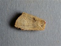 藏品(甲骨殘片)的圖片