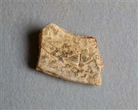 藏品(甲骨殘片)的圖片