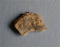 藏品(甲骨殘片)的圖片