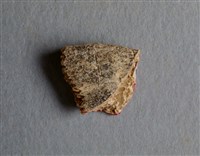 藏品(甲骨殘片)的圖片