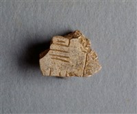 藏品(甲骨殘片)的圖片