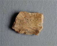 藏品(甲骨殘片)的圖片