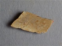 藏品(甲骨殘片)的圖片