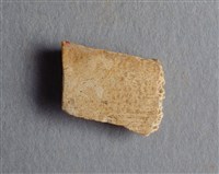 藏品(甲骨殘片)的圖片