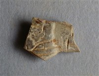 藏品(甲骨殘片)的圖片