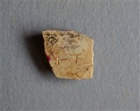 藏品(甲骨殘片)的圖片