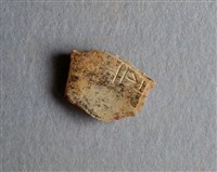 藏品(甲骨殘片)的圖片