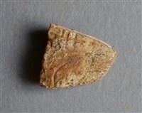 藏品(甲骨殘片)的圖片