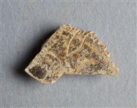 藏品(甲骨殘片)的圖片