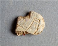 藏品(甲骨殘片)的圖片