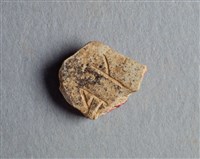 藏品(甲骨殘片)的圖片