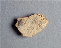 藏品(甲骨殘片)的圖片