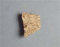 藏品(甲骨殘片)的圖片