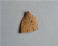 藏品(甲骨殘片)的圖片