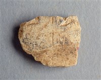 藏品(甲骨殘片)的圖片