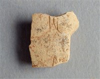 藏品(甲骨殘片)的圖片