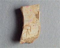 藏品(甲骨殘片)的圖片