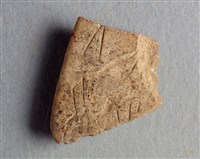 藏品(甲骨殘片)的圖片