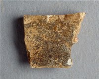 藏品(甲骨殘片)的圖片