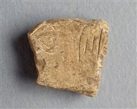 藏品(甲骨殘片)的圖片