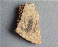 藏品(甲骨殘片)的圖片