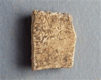 藏品(甲骨殘片)的圖片