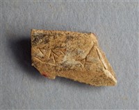 藏品(甲骨殘片)的圖片