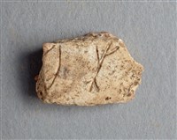 藏品(甲骨殘片)的圖片